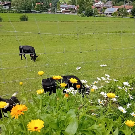 Ferienwohnung 公寓 *