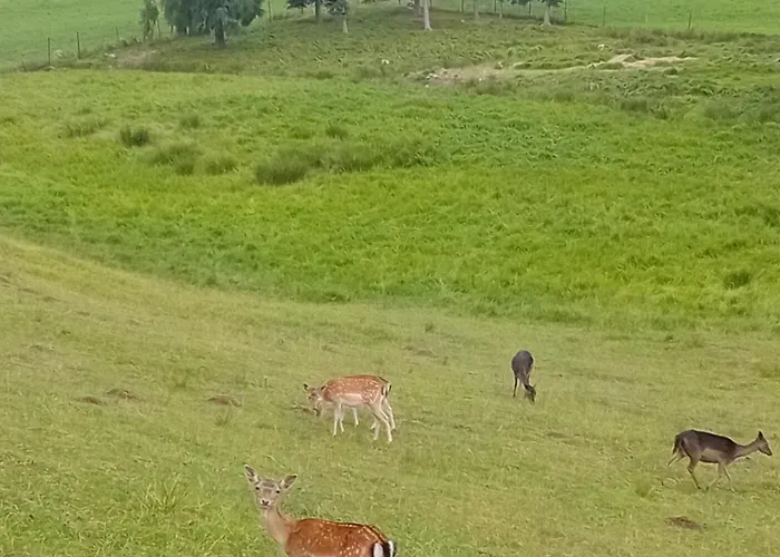 公寓 Ferienwohnung