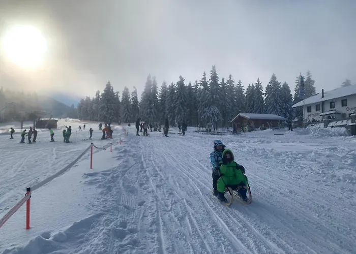 Ferienwohnung 公寓 阿尔拉赫