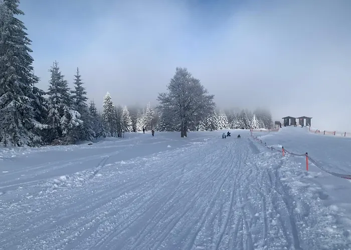 Ferienwohnung 阿尔拉赫