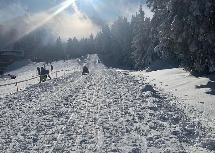 Ferienwohnung * 阿尔拉赫